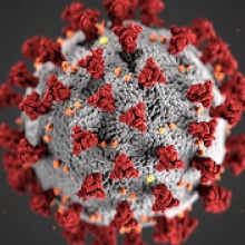 Covid Virus Close Up